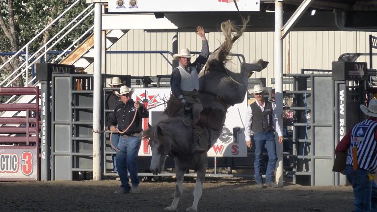 Ute Mountain Roundup