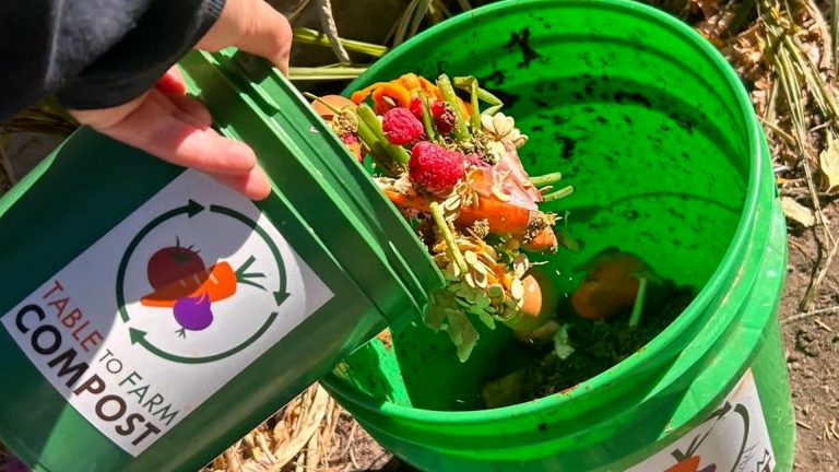 As Durango's Landfill Fills Up, One Business Has a Solution