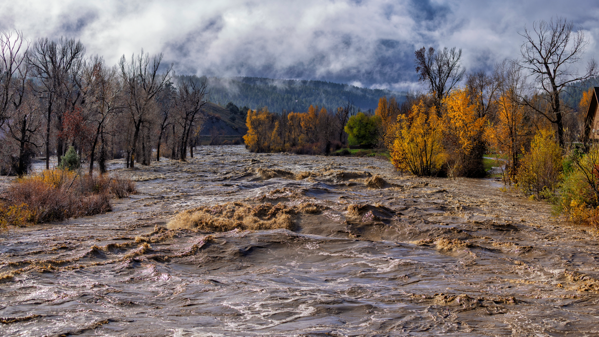 Receding Waters: Pagosa Springs Moves from Rescue to Recovery